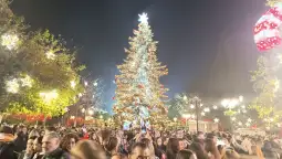 елка атина На специјална манифестација, со концерт и во присуство на атинскиот градоначалник Харис Дукас, на плоштадот Синтагма во центарот на грчката метропола, синоќа свечено беше осветлена новогодишн